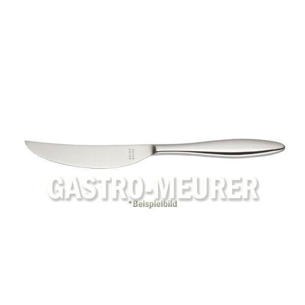 Steakmesser 239 mm Serie Terra