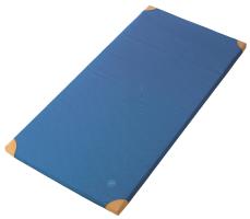 Turn- und Sportmatte 200x100x6 cm RG 35/55 mit Lederecken und ohne Trageschlaufen, versandkostenfrei